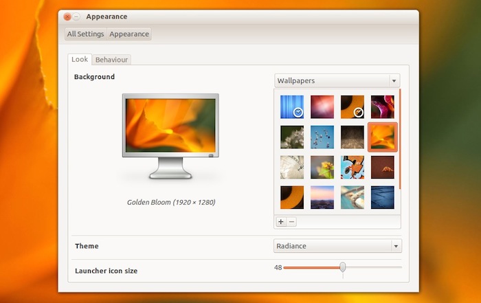Appearance in Ubuntu 12.04