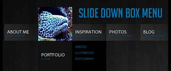 Slide Down Box Menu with jQuery and CSS3