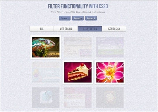 filter functionality with css3