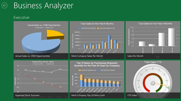 screenshot_gp12businessanalyzer_page